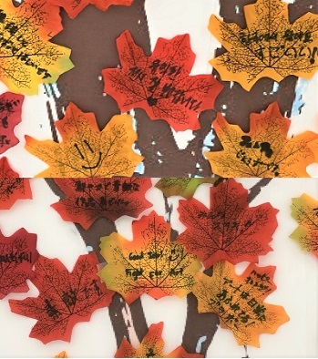 もみじの木（感想）