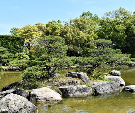 日本庭園の大池泉庭写真