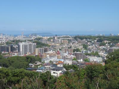 鴻巣山展望台から小笹校区を望む