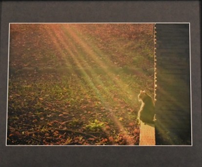 審査員賞堀田　由美子「夕刻にたたずむ」