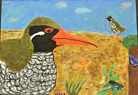 大休寺　映「ヤンバルの森」