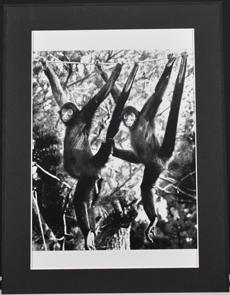 区長賞鬼木　敬子「フォルム」