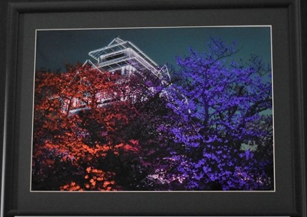 岡　善雄「夢幻泡影」