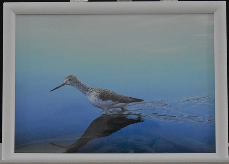 眞島　美枝子「青の波跡」