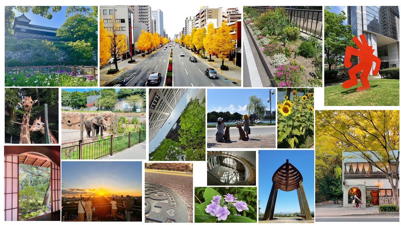 いままでに提供された写真