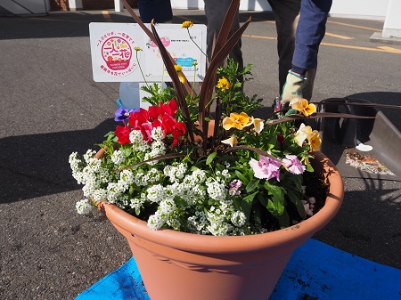 一人一花パートナー花壇の植木鉢