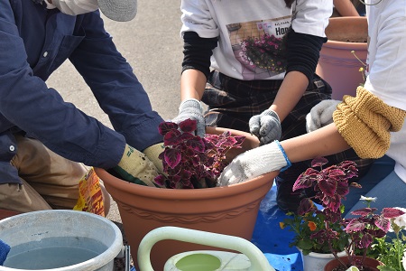 こどもが花を植える様子