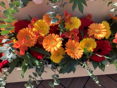 暖色系の花の写真