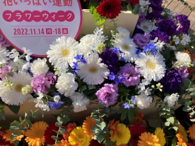 寒色系の花の写真