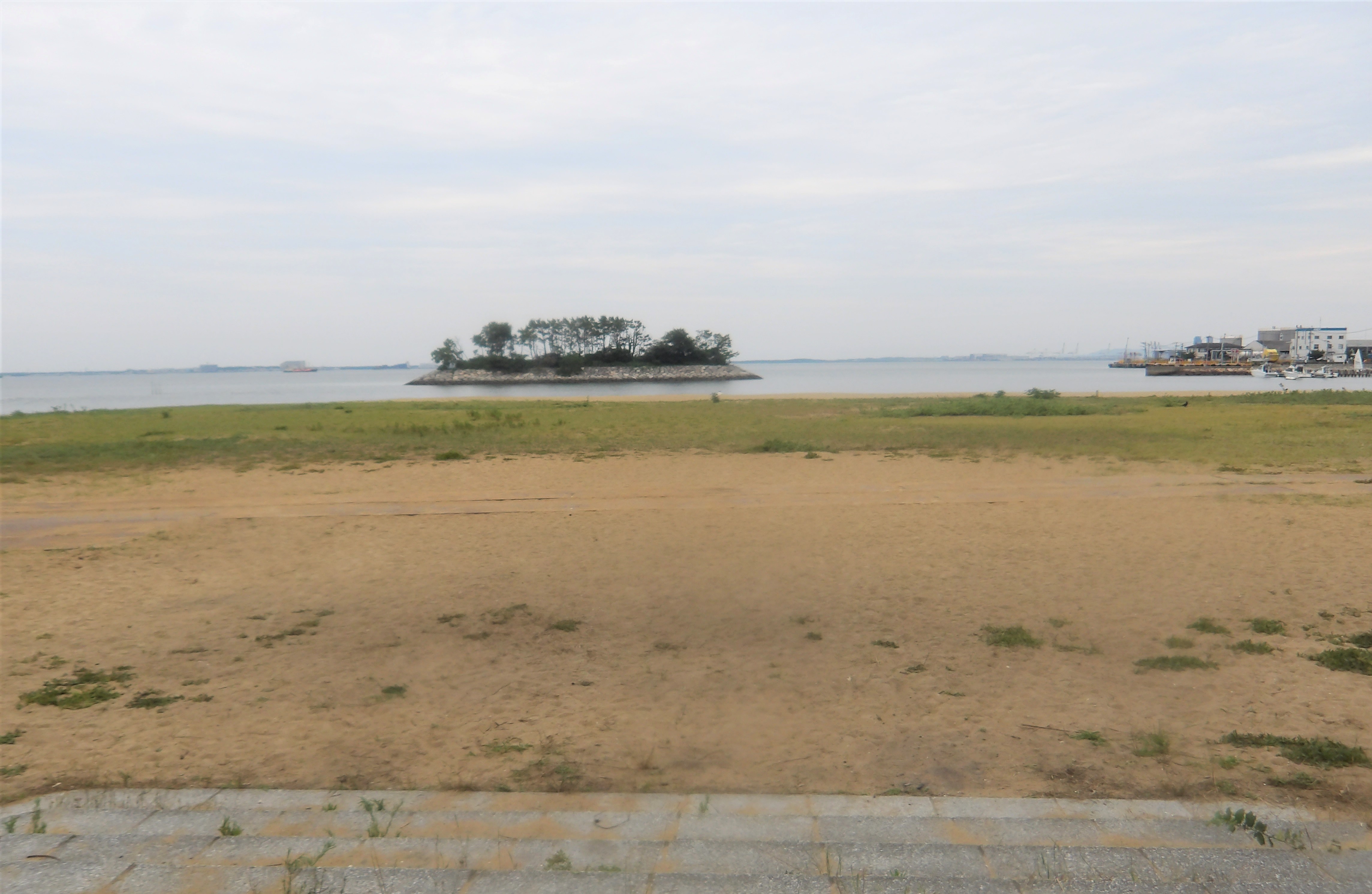 清掃後の福浜海岸の写真_1