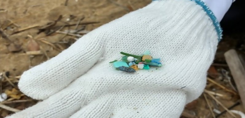 集まったプラスチックごみの写真_4