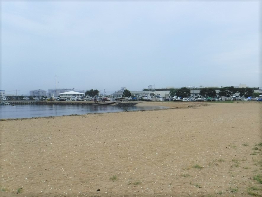 清掃後の福浜海岸の写真_1