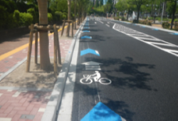 車道内共存の写真