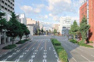 昭和通りの様子の写真