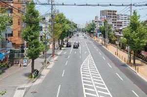 筑紫通りの様子の写真