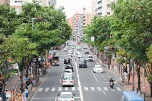 高宮通りの様子の写真