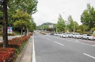 ユニバ通りの様子の写真