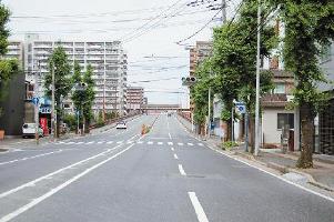 きよみ通りの様子の写真