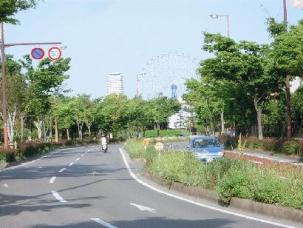 マリナ通りの様子の写真