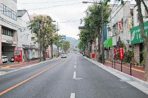 油山観光道路の様子