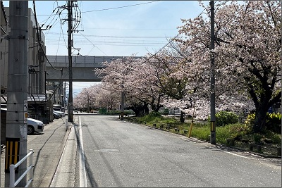雑餉隈(ざっしょのくま)5号踏切(施工後)