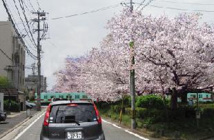 現在の雑餉隈5号踏切写真