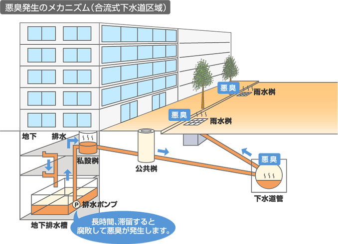 画像:悪臭発生のメカニズム（合流式下水道区域）のイメージ