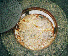 油脂類の堆積により閉塞したマンホールの画像