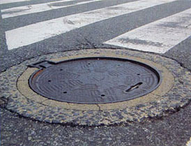 (例)ふたのいたみ、がたつきの写真