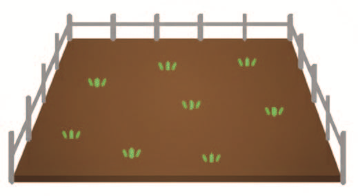 土地のイラスト