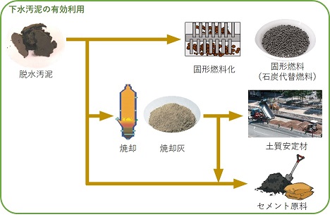 下水汚泥の有効利用の画像