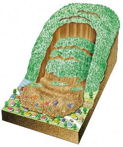 地すべり（イラスト）