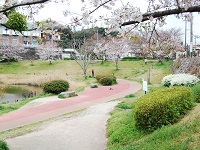 友丘公園の写真