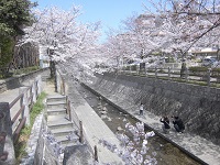 一本松川の写真