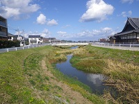 周船寺川の写真