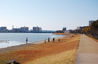 多々良川の写真