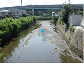 浜男川整備前の写真