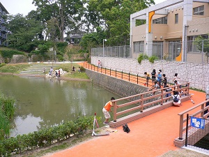 平尾新池の状況写真