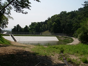長尾池の状況写真