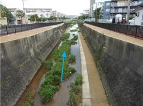 名柄川整備後の画像