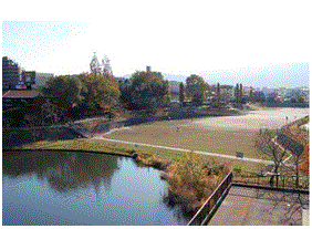 晴天時の野間大池