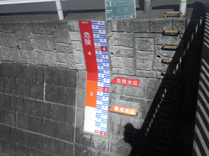 水位標の写真