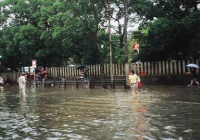 国体道路(警固神社付近)の浸水被害状況の写真