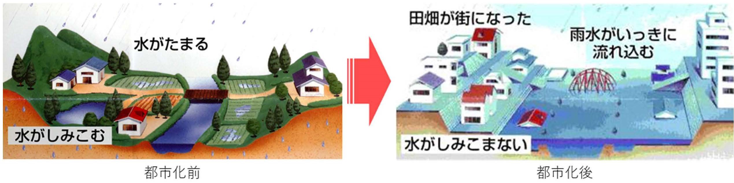 都市化前と都市化後の変化を表すイラスト