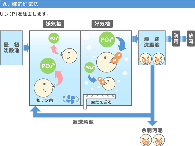 嫌気好気法の説明図の画像