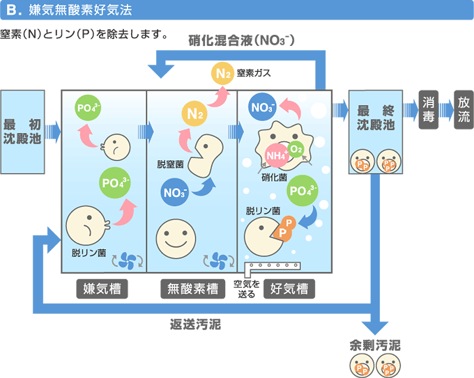 嫌気無酸素好気法の説明図の画像