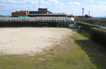 自由広場（ソフトボール場）の写真