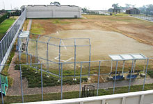 屋上グラウンド（ソフトボール場）の写真