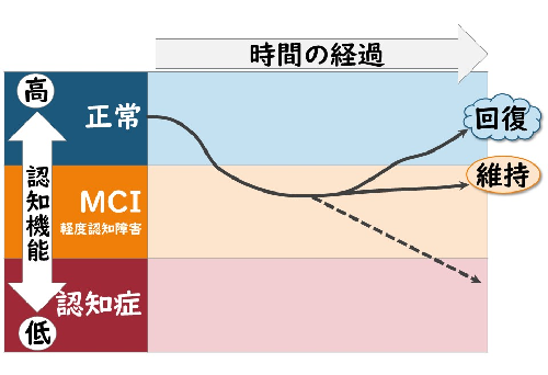 MCI（軽度認知障害）のうちに対処すれば認知機能を回復したり維持できたりすることができることを示す図