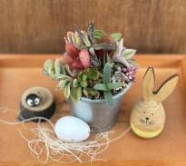 オレンジパートナーズ3